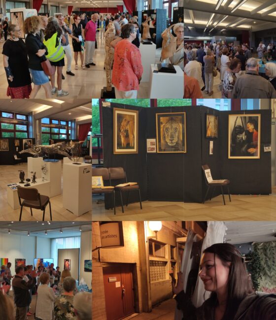 salon des arts sochaux