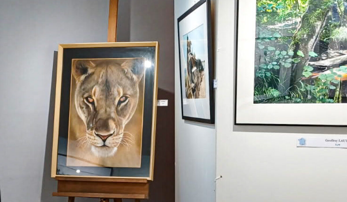 festival de pastel international Bastides Saint Agne